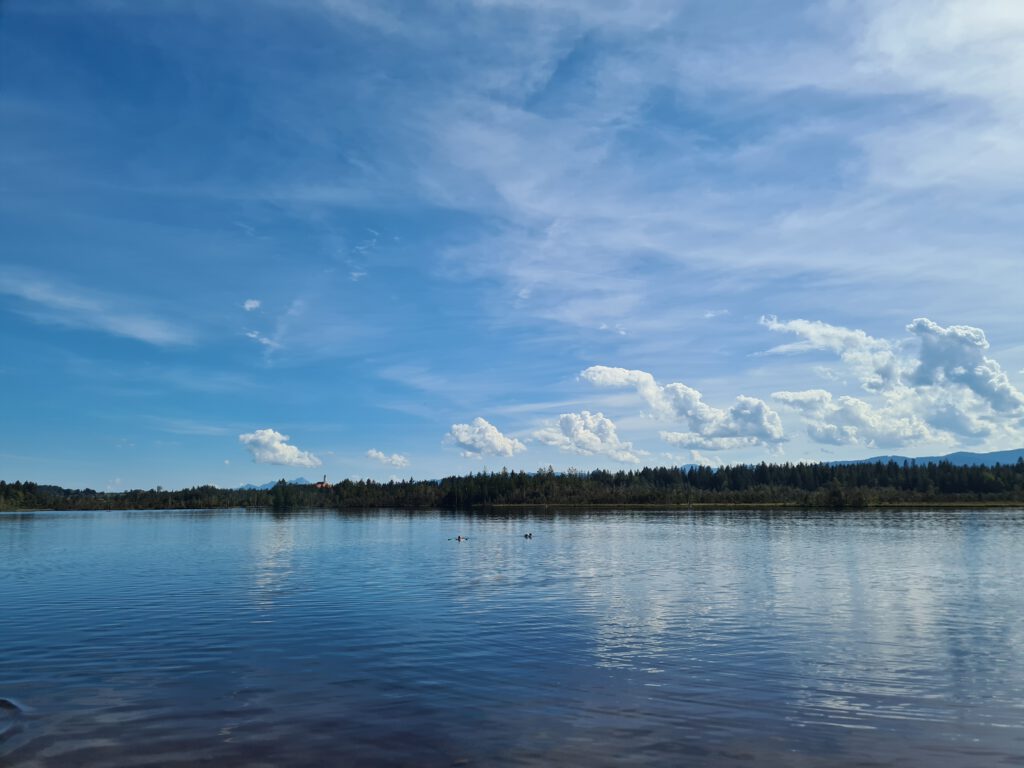 See mit einigen Schwimmenden, bewaldetem fernem Ufer, blauem Himmel mit weißen Wolken, in der Ferne der Turm des Klosters Reutberg