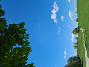 Weg zur Hügelkuppe mit Wiesen, Sträuchern und viel blauem Himmel mit weißen Wolken