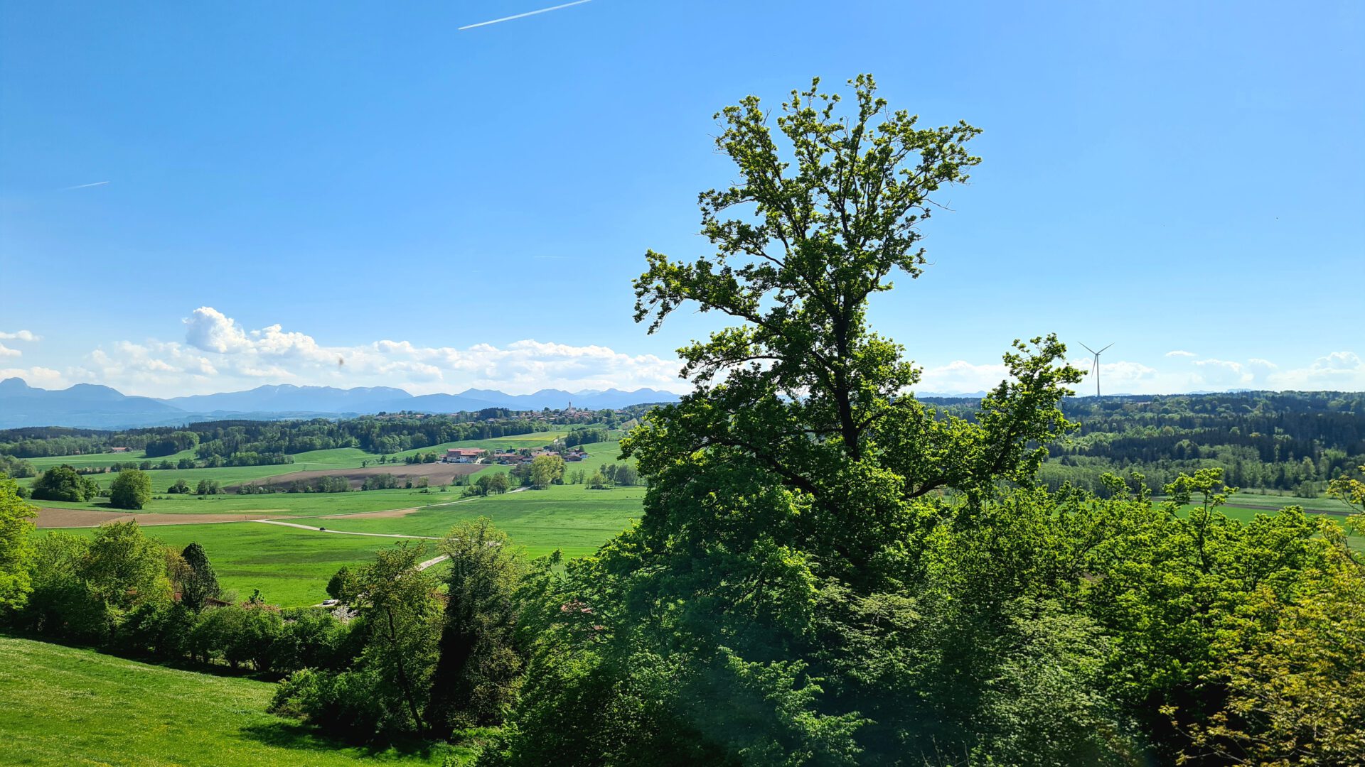 Blick über das Tal, eine alte Eiche im Vordergrund, auf einer Fernen Höhe eine Kirche und ein Windrad, im Hintergrund die Alpenkette mit weißen Wolken.